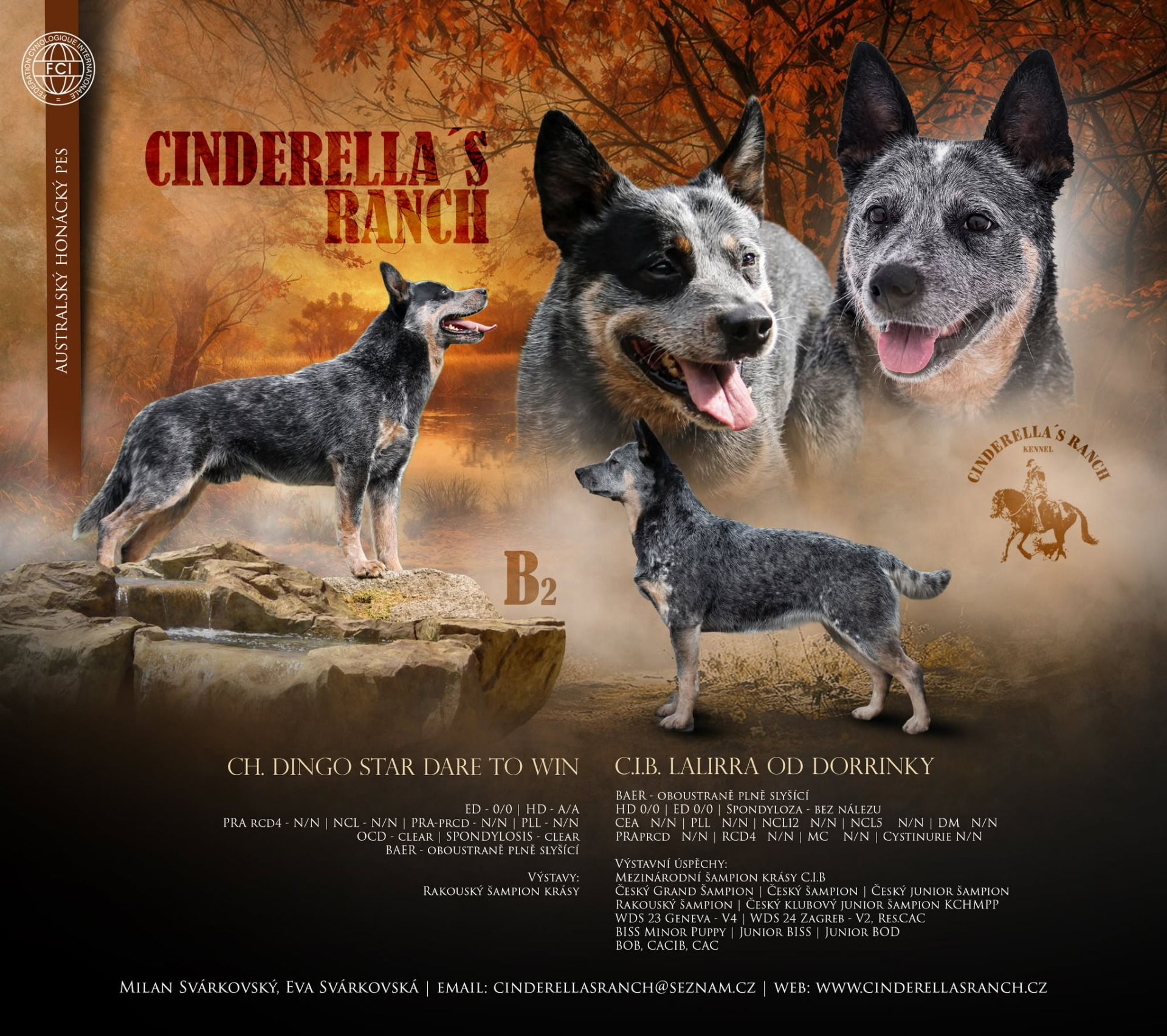 Litter B2 Cinderella´s Ranch